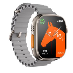 68% OFF [BLACK FRIDAY SALE] Apple Watch Ultra 2 - 49 mm - titanium - smart watch with Alpine Loop